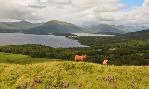 Loch Lomond, Historic Castles & Whisky